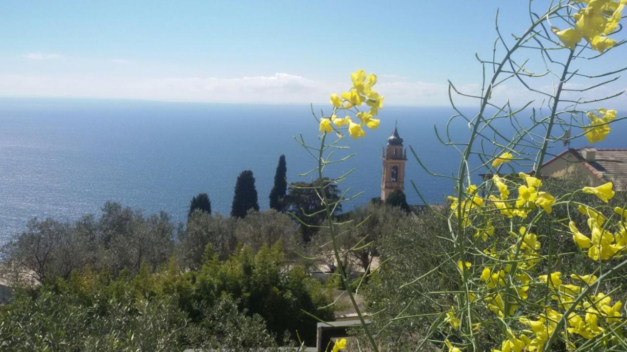 Il Gabbiano Di Pieve Acomodação com café da manhã Pieve Ligure Exterior foto