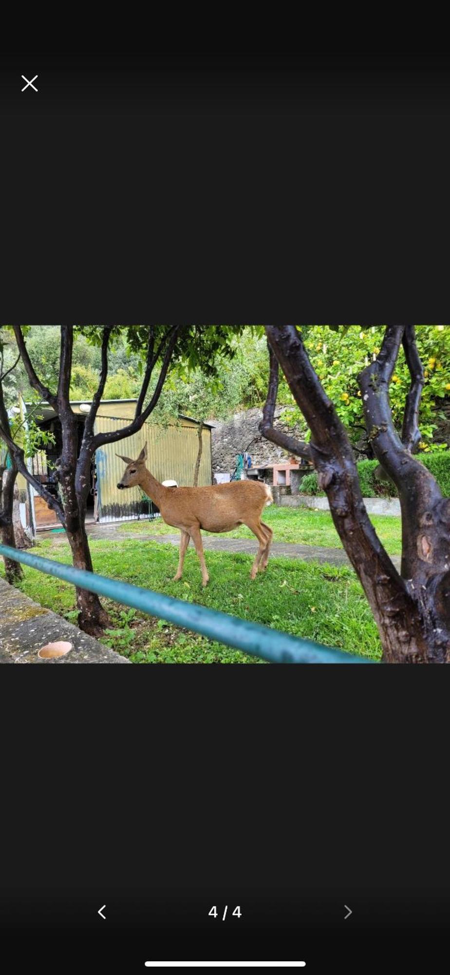 Il Gabbiano Di Pieve Acomodação com café da manhã Pieve Ligure Exterior foto